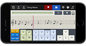 Notation input interface