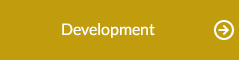 Development